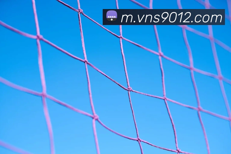 App 展示图
